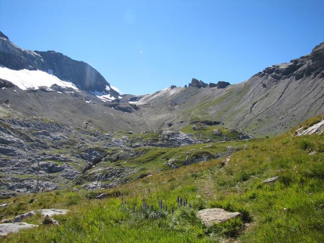 Blick hinein ins Tierberg und zum Tierbergsattel unser nächstes Ziel