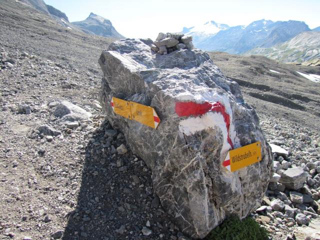 Weggabelung bei Punkt 2552 m.ü.M. hier bogen wir wieder links ab und nahmen den Hüttenweg unter die Füsse