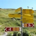 wir wollen über den Höhenweg nach Leukerbad wandern. Wir müssen nur den richtigen Weg einschlagen