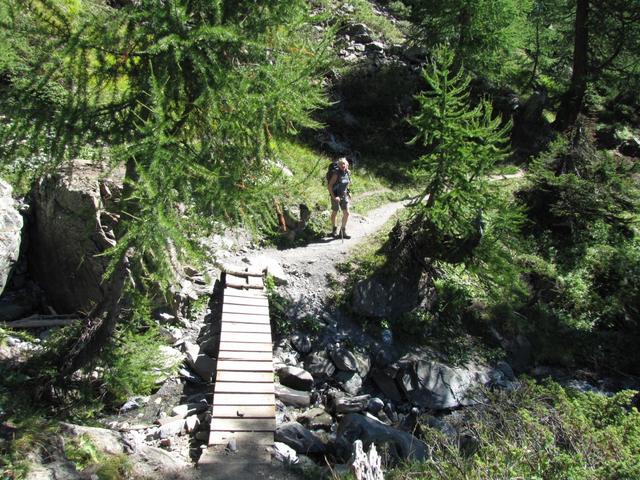 der Weg ist sehr gut ausgebaut