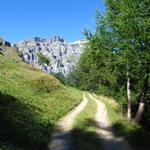 kurz nach Larschi 1583 m.ü.M. biegt der Wanderweg abwärts Richtung Kluscheten