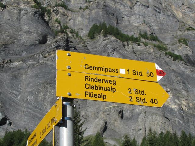 Wegweiser beim Gemmiweg