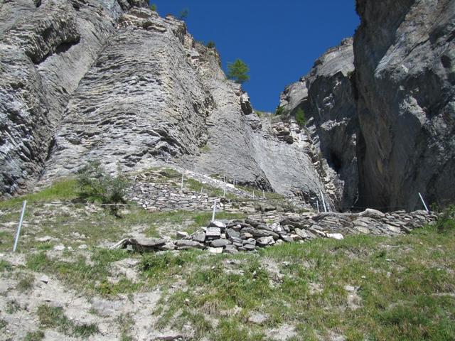Blick hinauf