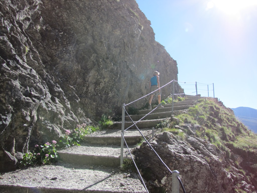 jetzt ist der Weg schon fast wie eine Autobahn