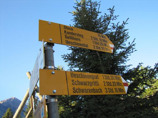 von hier aus führt unsere Wanderung zuerst auf das Gellihorn