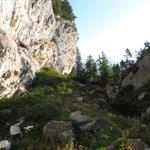 von der Winteregg aus, beginnt der Bergpfad an Höhe zu gewinnen