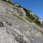 der Bergpfad führt einen Linksbogen um den Gellihorn herum