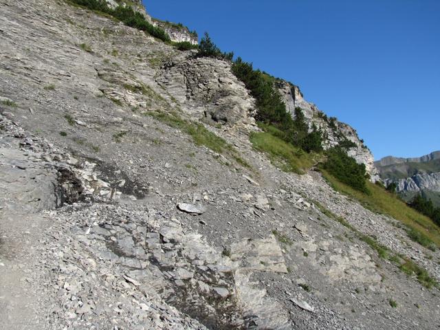 der Bergpfad führt einen Linksbogen um den Gellihorn herum