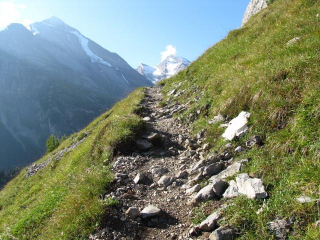 immer wieder konnten wir solche Ausblicke geniessen. Hier Richtung Altels und Rinderhorn