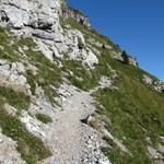 der Weg führt weiterhin steil aufwärts