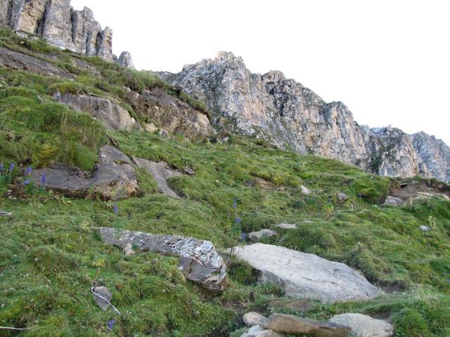 nach ein paar Gehminunten biegt der Bergpfad links vom Hauptweg ab