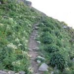 wir wandern nun auf dem langezogenen Ueschinengrat