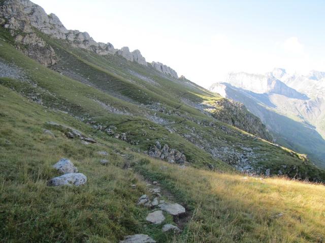 und dann führt er wieder über sanfte Alpweiden