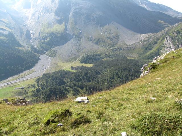 Tiefblick in den Arvenwald auf der Spittelmatte. Dort waren wir gestern