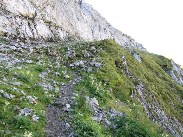 diese Wanderung sollte man besser im Sommer unternehmen. Zu lange bleibt der Schnee hier liegen