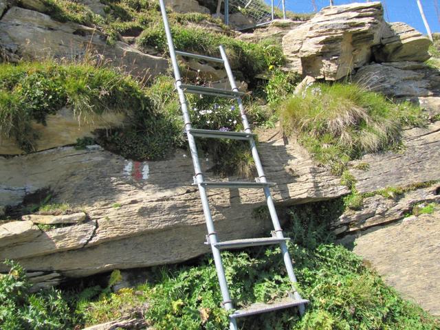 eine kleine Leiter hilft einem einen Felsvorsprung zu überwinden