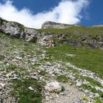 steil führt der Weg nun aufwärts zur ersten Weggabelung