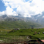 schönes Breitbildfoto der Engstligenalp