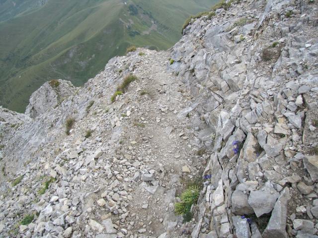 der Aeugi-Lowa Weg ist wirklich der Höhepunkt der ganzen Wanderung