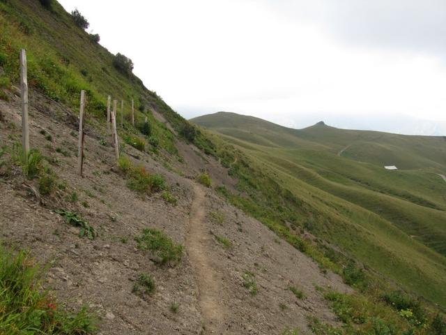 bei Punkt 2093 m.ü.M. biegen wir rechts ab und laufen auf einfachem Weg Richtung Luegli