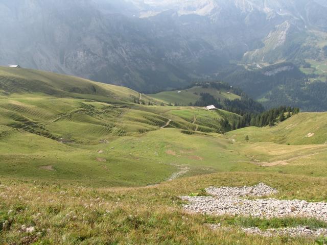 über Alpweiden führt uns der Wanderweg nun abwärts Richtung Wengibärgli