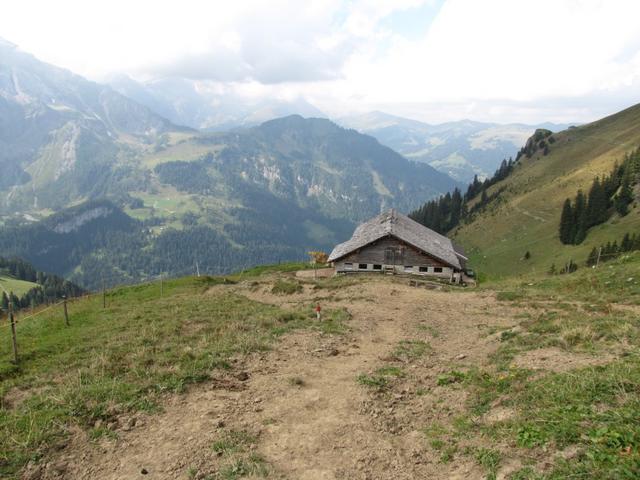 bei der Alphütte auf Wengibärgli