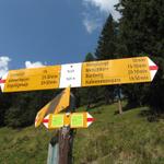 Wegweiser auf Nessli 1620 m.ü.M.