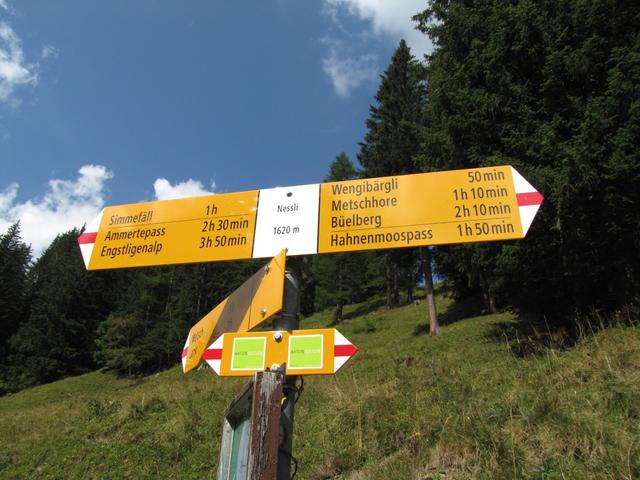 Wegweiser auf Nessli 1620 m.ü.M.