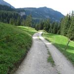 auf einem breiten Forstweg wandern wir über das Ammertental abwärts Richtung Stalden