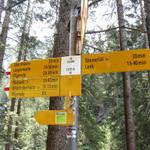Wegweiser bei Stalde 1370 m.ü.M.