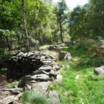 so ist das wandern im Tessin, wild und einsam, aber wunderschön