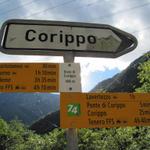 Wegweiser beim Bivio di Corippo 496 m.ü.M.