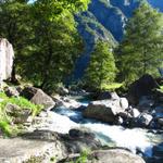 links von uns der Calnègia er speist den Foroglio Wasserfall