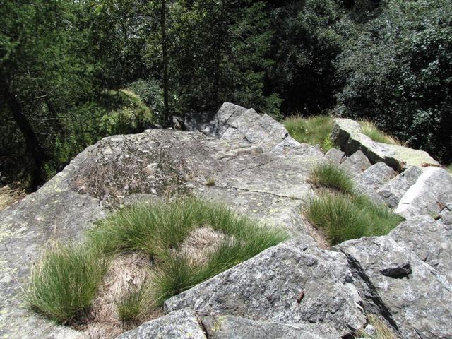 Blick auf die Treppe. Unglaublich was hier geleistet wurde um auf einer Alp zu gelangen