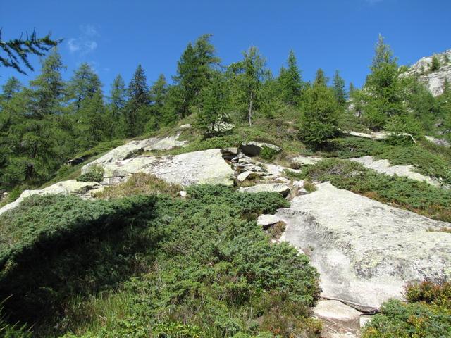 was für eine schöne Wanderung. Kein Mensch weit und breit