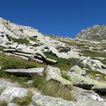 fast 1800 Höhenmeter sind es von Foroglio bis zu den Laghi della Cròsa