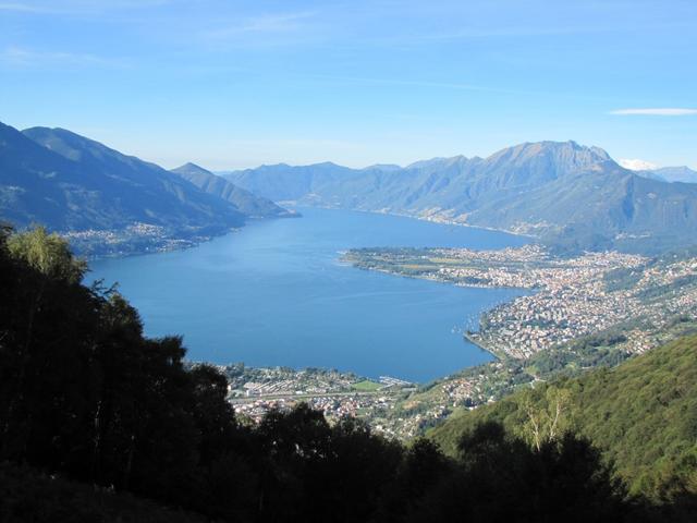 Blick auf den Lago Maggiore, Locarno und Ascona