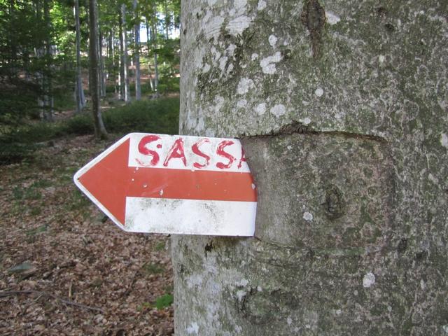 die heutige Wanderung führt uns auf die Sassariente