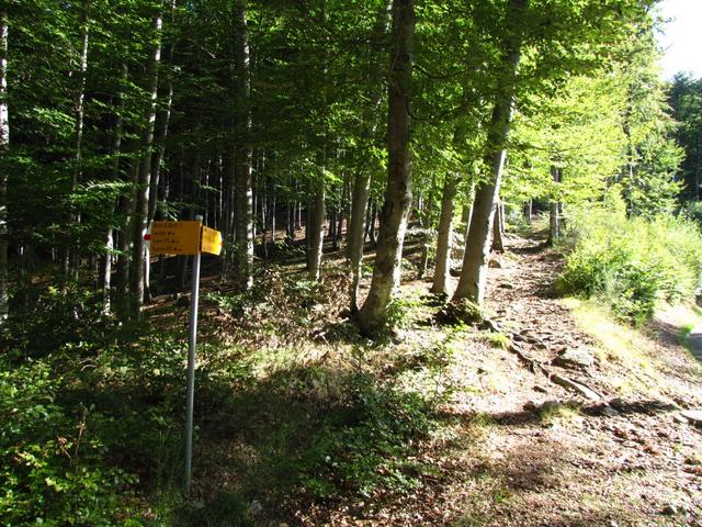 am Ende der Strasse biegt der Wanderweg links ab