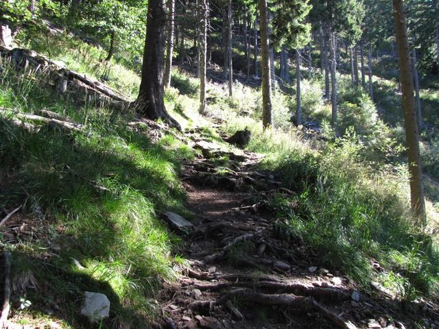 der Weg führt nun steil aufwärts