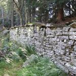 Grund der Mauer: Schutz vor übergreifenden Waldbränden und als Schutz-Zaun gegen Geissen. ?!?