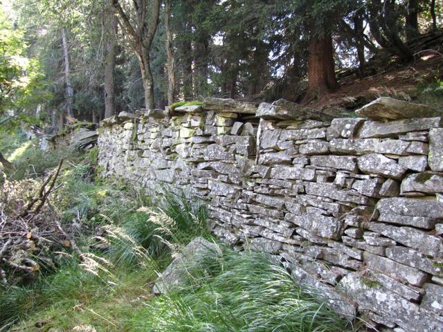 Grund der Mauer: Schutz vor übergreifenden Waldbränden und als Schutz-Zaun gegen Geissen. ?!?