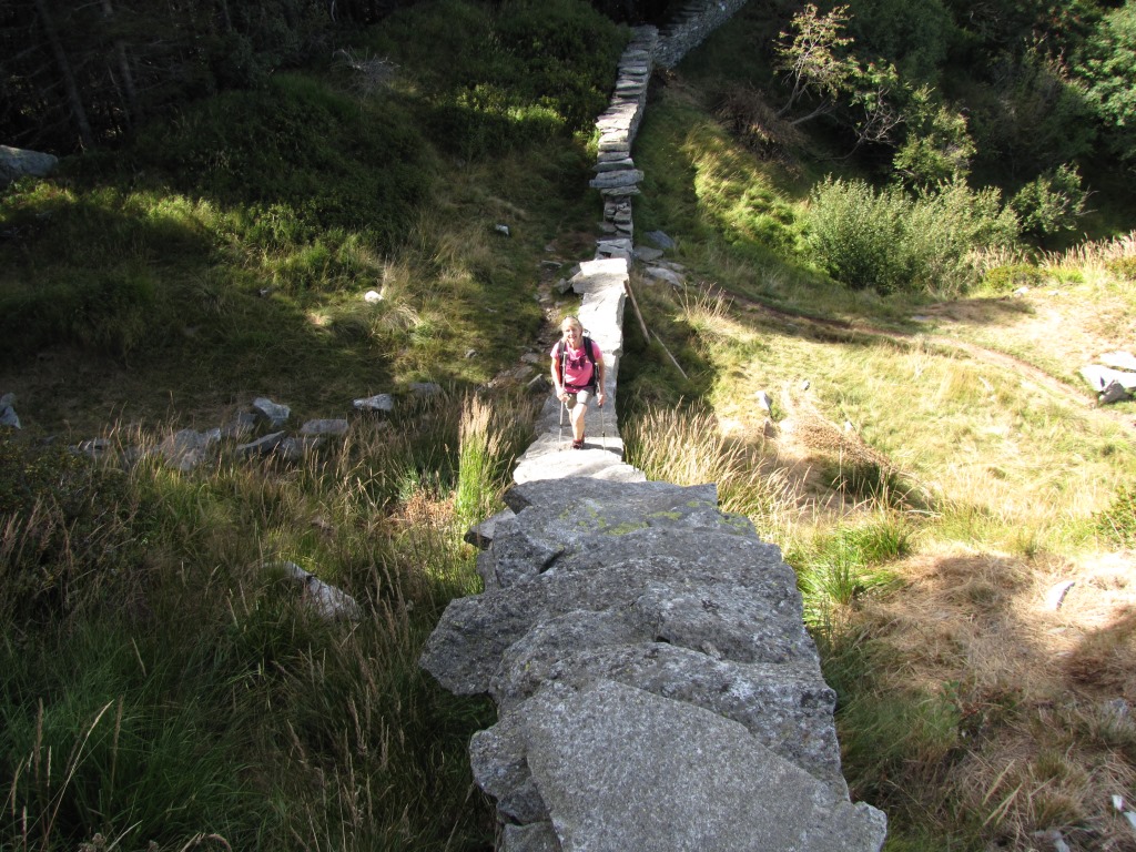 meine Maus auf der Polenmauer