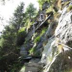 Trittsicher und Schwindelfrei sollte man aber schon sein