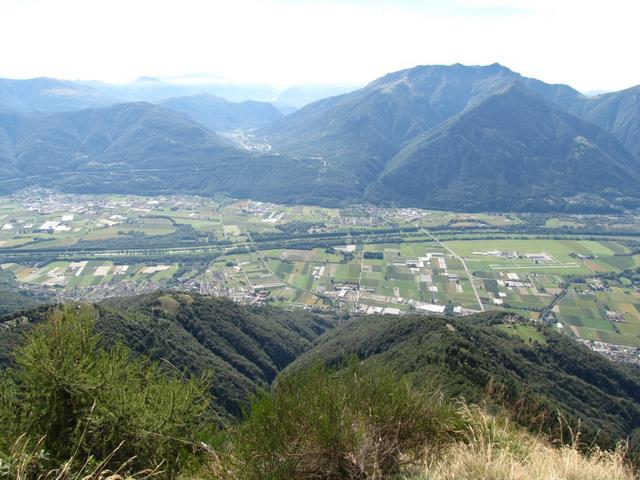 Blick auf die Magadinoebene