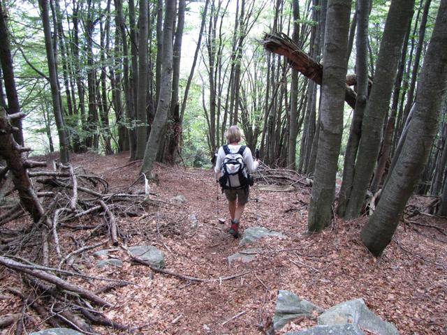 über dichte Wälder führt uns der Weg nun abwärts