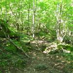 zuerst flach führt uns der Wanderweg taleinwärts in das Val d'Antabia