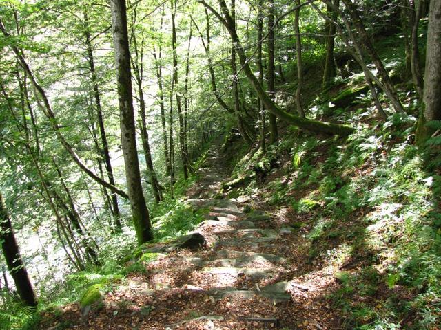 bei Punkt 674 m.ü.M. verlieren wir an Höhe. Wir müssen über den Bach der vom Val Carecchio her kommt