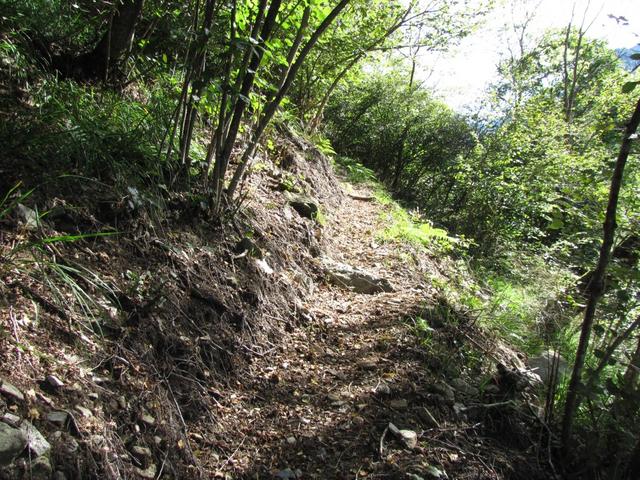 zum Glück hat man vor kurzem den Weg wieder hergestellt, und die Gebüsche zurückgeschnitten