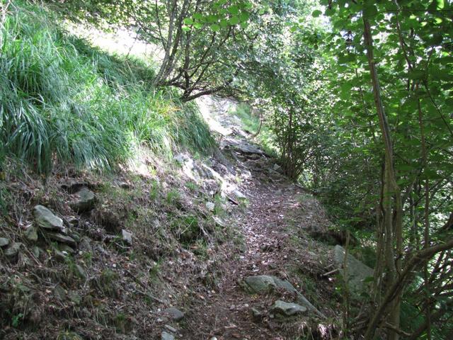 die Schlüsselstelle haben wir nun hinter uns. Über einen normalen Bergweg geht es weiter aufwärts